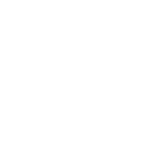 SE AUTO SOLUTIONS